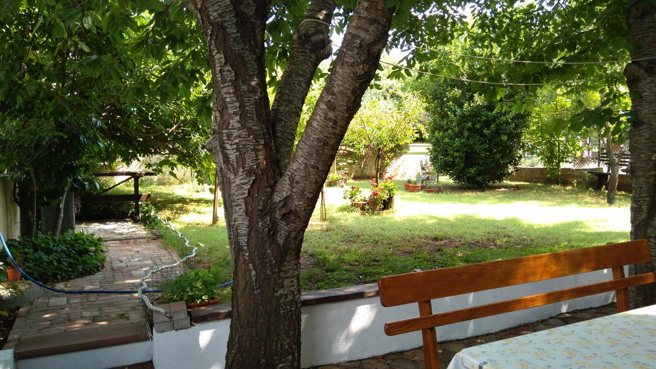 Apartment Drenovica Πούλα Εξωτερικό φωτογραφία